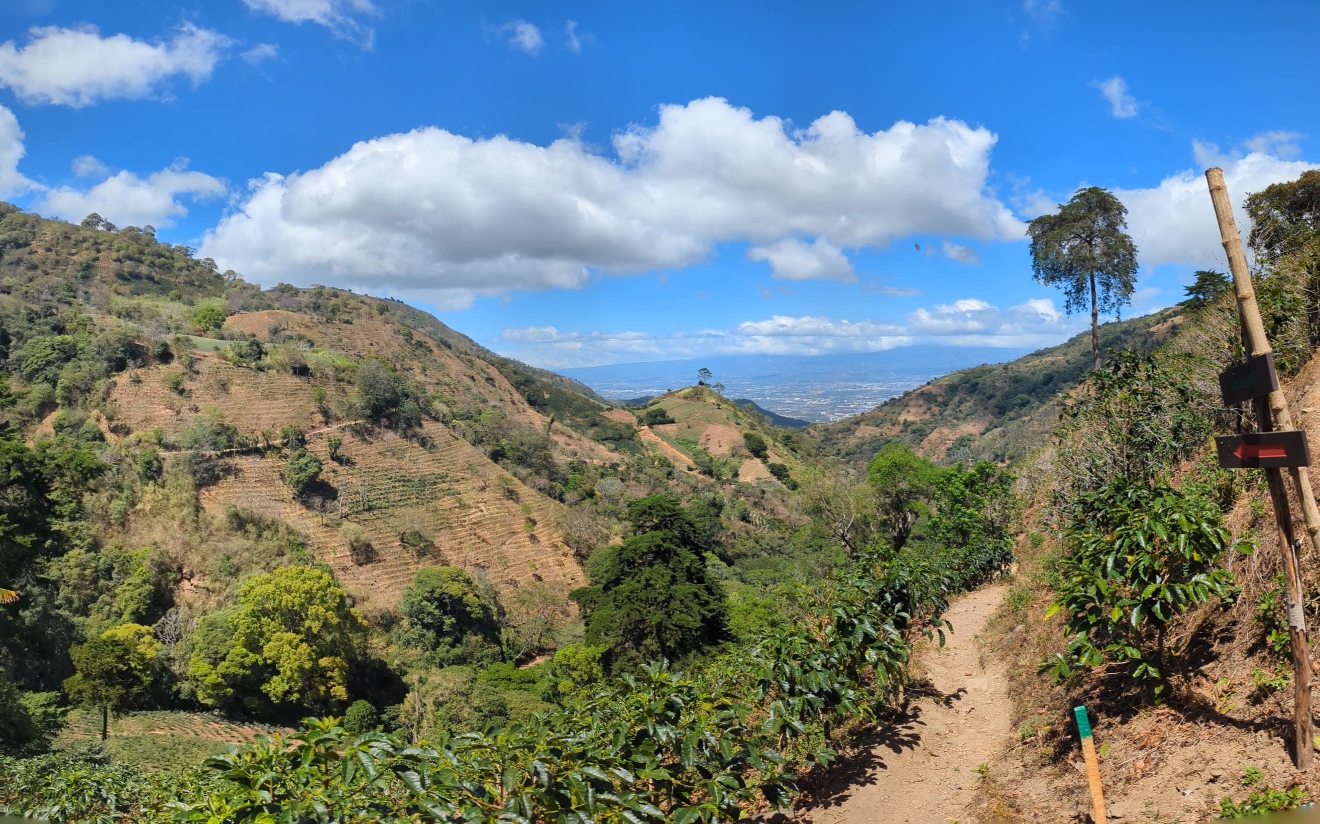 Montañas de Cariblanco