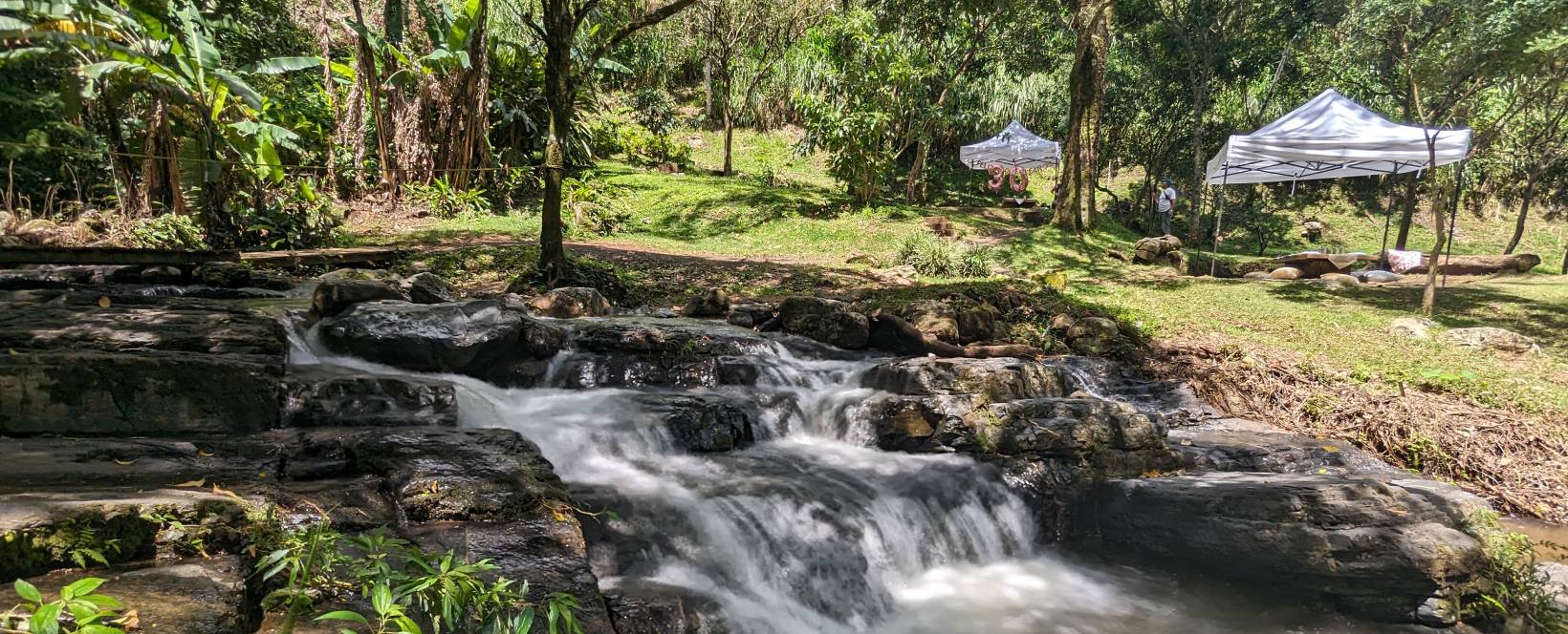 Actividades en Montañas de Cariblanco