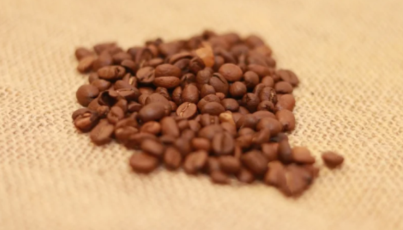 Café en Grano