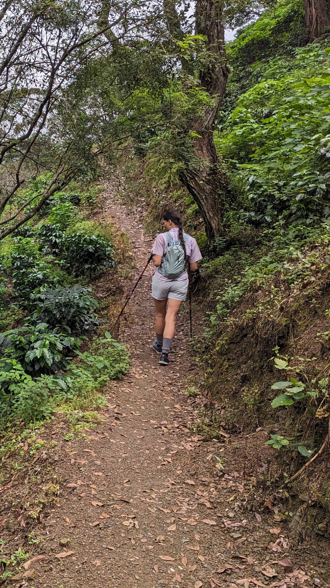 Camino del sendero