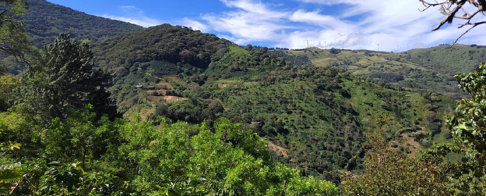 Contáctenos - Montañas de Cariblanco