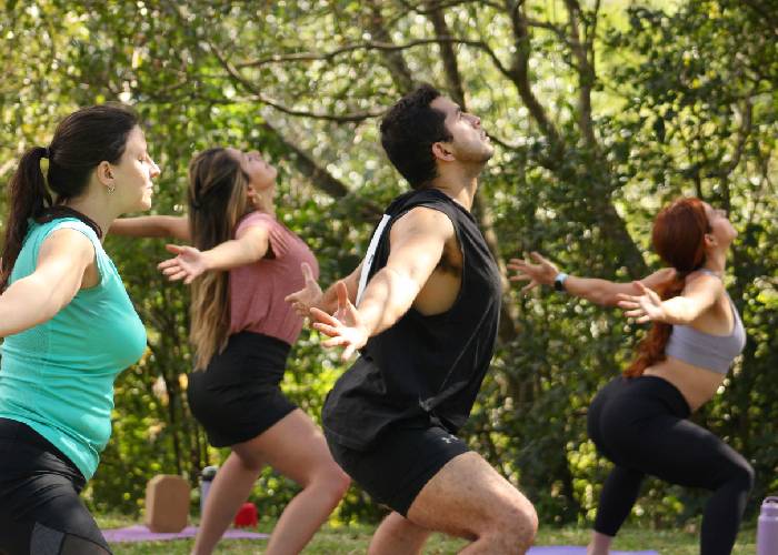 Yoga y Meditación
